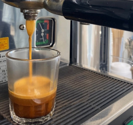 Coffee Official at Spruce!