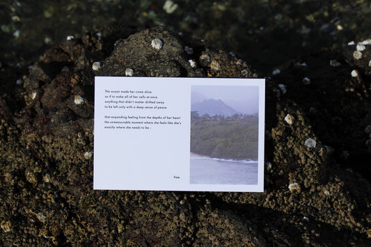 The Ocean Post Card