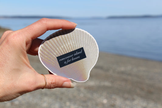 Vancouver Island Shell Sticker